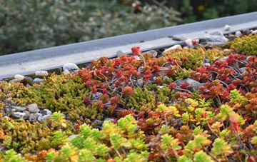the cost of Sutton Holms green roof installation