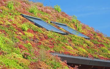 Sutton Holms living roof systems