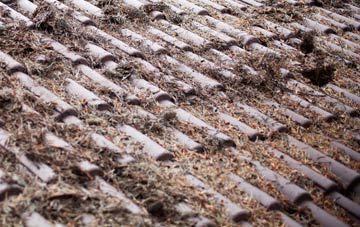 Sutton Holms roof cleaning companies