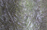 Sutton Holms fibreglass roof work